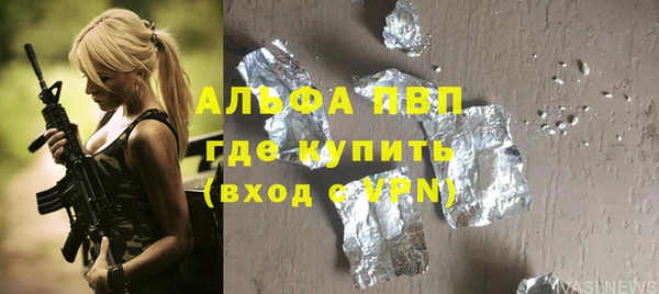 стафф Алексин