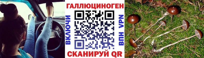Галлюциногенные грибы Psilocybine cubensis мориарти состав Александровск где купить